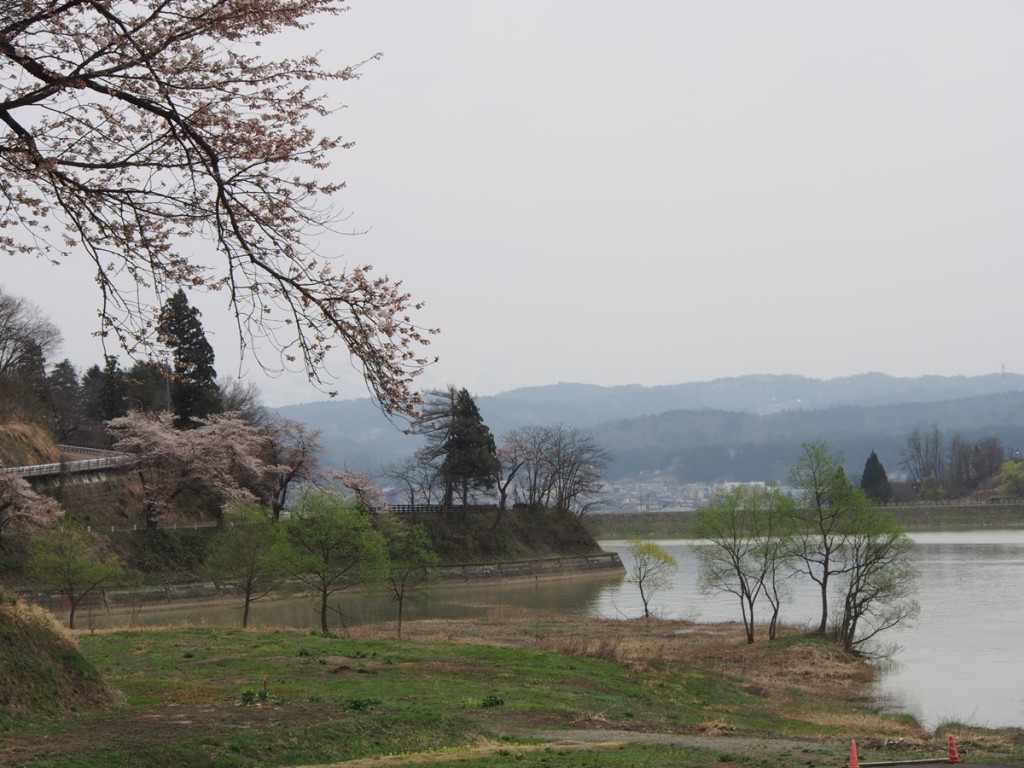 2016.4.10_浅河原_桜_02