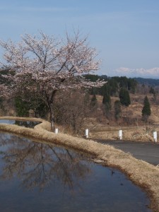 2016.4.12_星峠12