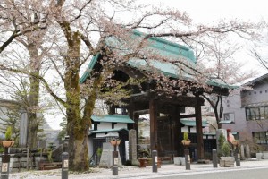 28.04.15_智泉寺_桜_01