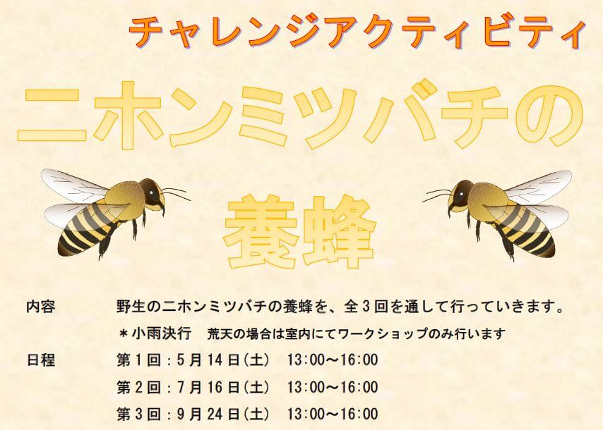 28.5.14_ミツバチ養蜂00