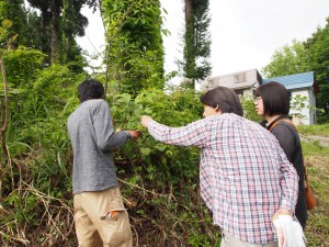 28.5.14_ミツバチ養蜂06