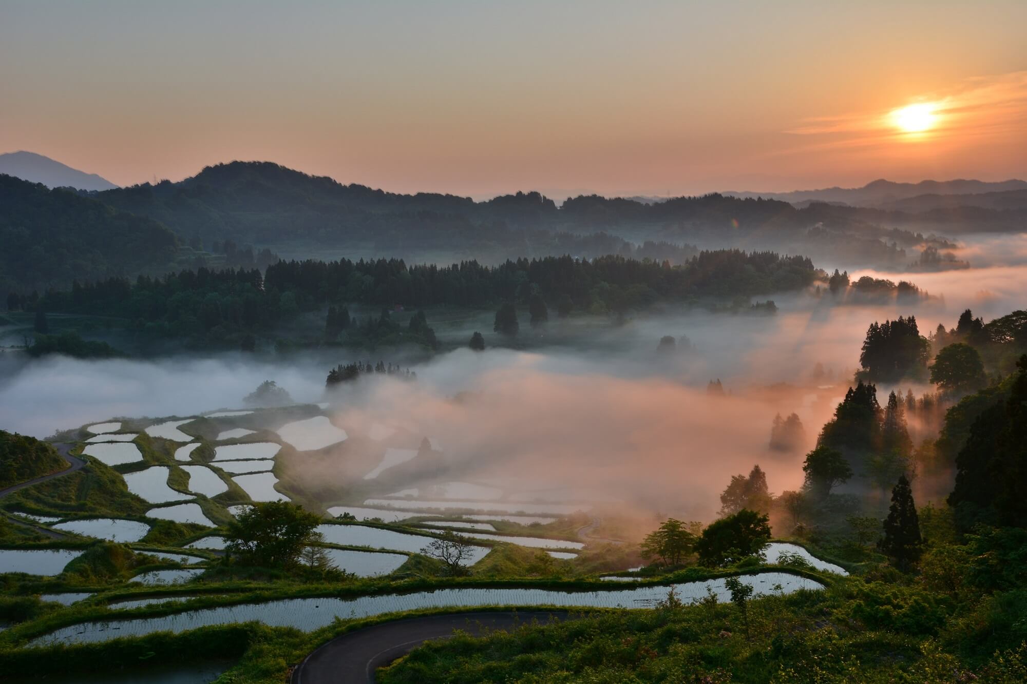 きらっと新潟 に松代 松之山エリアが登場 十日町市観光協会