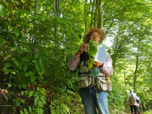 28.5.8_古道　春のハイキング06