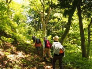 28.5.8_古道　春のハイキング14