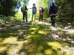 28.5.8_古道　春のハイキング18