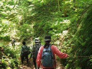 28.5.8_古道　春のハイキング26