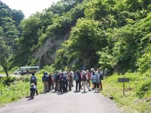 28.5.8_古道　春のハイキング31