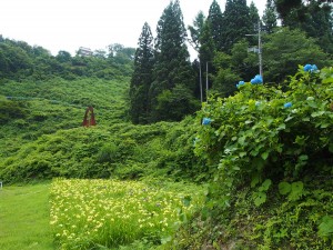 28.6.22_あじさい・菖蒲　松代城跡公園02