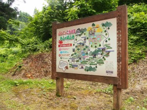 28.6.22_あじさい・菖蒲　松代城跡公園12