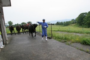 daigonji_20160607_02