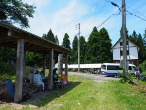 28.7.10　松代城跡公園　あじさい・菖蒲まつり02