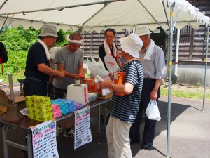 28.7.10　松代城跡公園　あじさい・菖蒲まつり03