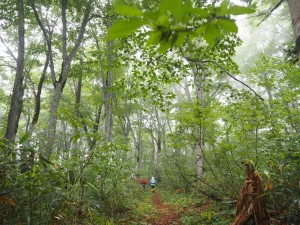 28.7.3_小松原_トレッキング11