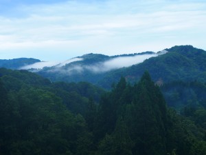 松代　キャンプ場　朝もや