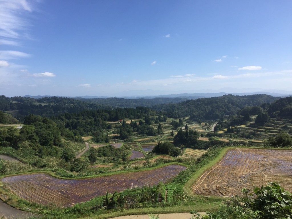 28-10-07　星峠の棚田1