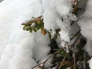 28-12-16_kiyotukyou-14