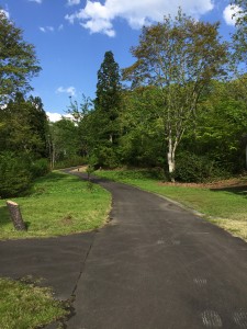 清田山キャンプ場