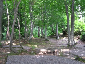 清田山キャンプ場