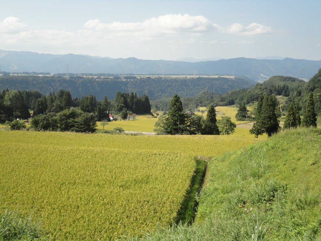 清田山キャンプ場