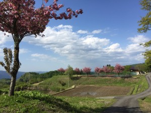 清田山キャンプ場