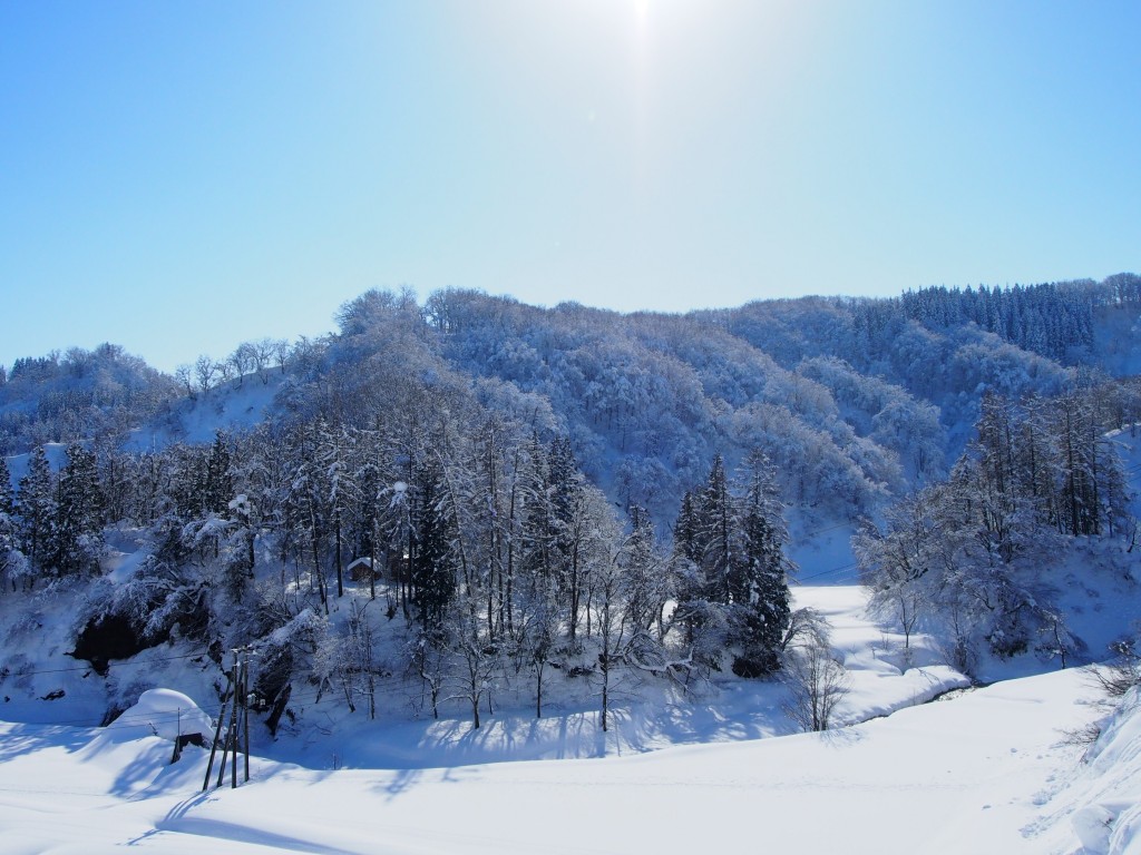 29.1.18　雪景色