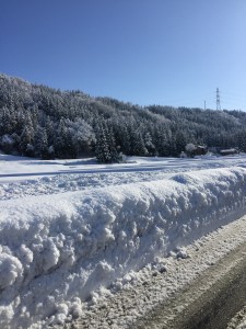 29.1.18_雪景色_353 (2)