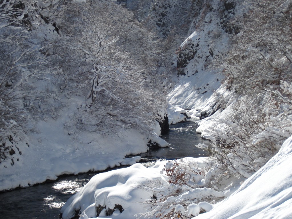 29.1.18_雪景色_清津峡