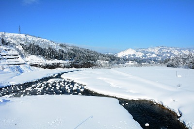 29.1.18_雪景色_倉俣大橋