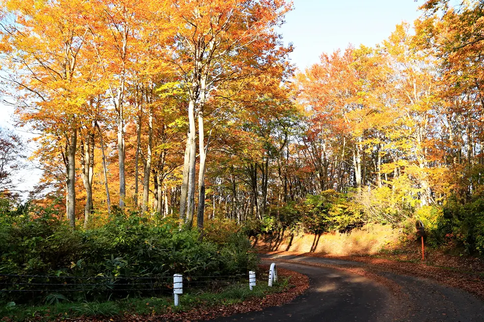 通行止め解除 魚沼スカイラインの道路工事に伴う 終日全面通行止め が解除 十日町市観光協会