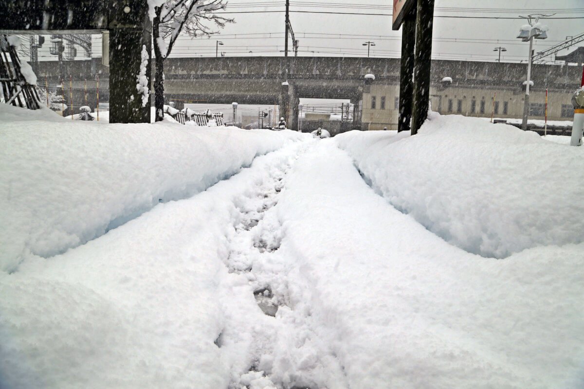 ドカ雪です。   十日町市観光協会