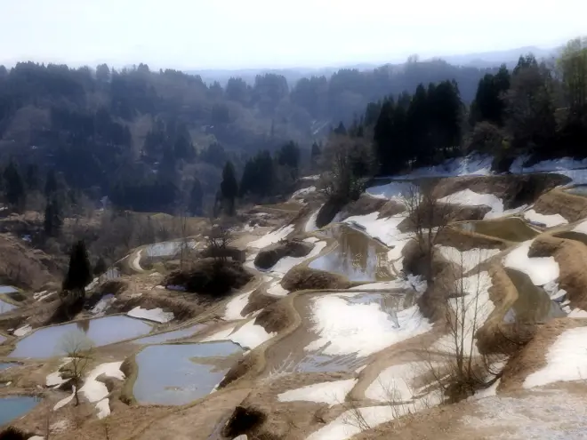 4 棚田情報 十日町市観光協会