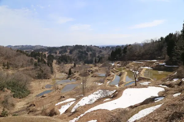 3 21 棚田情報 十日町市観光協会