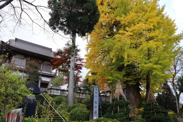 松代 松之山 秋の通りすがりの風物詩 十日町市観光協会 松代 松之山 秋の通りすがりの風物詩 十日町市観光協会