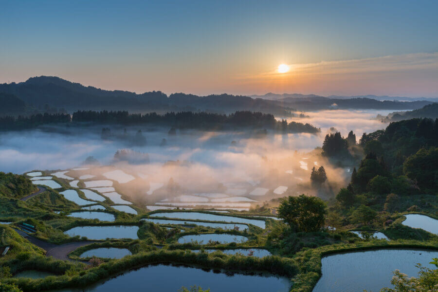 棚田-水稻梯田-