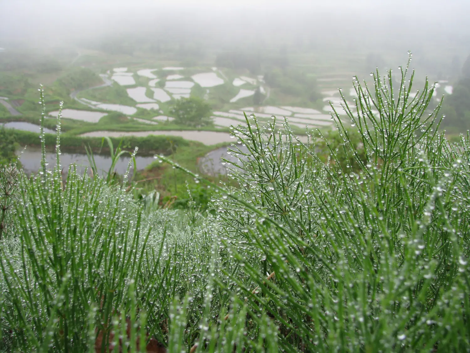 きらっと新潟 に松代 松之山エリアが登場 十日町市観光協会