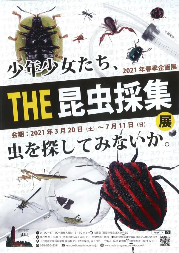 春季企画展 The昆虫採集展 開催中です 十日町市観光協会