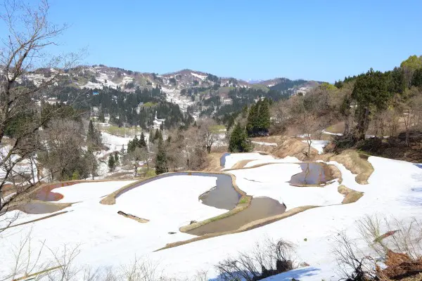 4 11 棚田情報 十日町市観光協会
