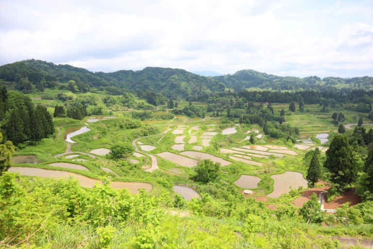 田植え全盛期 星峠の棚田 ローカルニュース 新潟の街ニュース ローカル情報 Komachi Web こまちウェブ 田植え全盛期 星峠の棚田 ローカルニュース 新潟の街ニュース ローカル情報 Komachi Web こまちウェブ