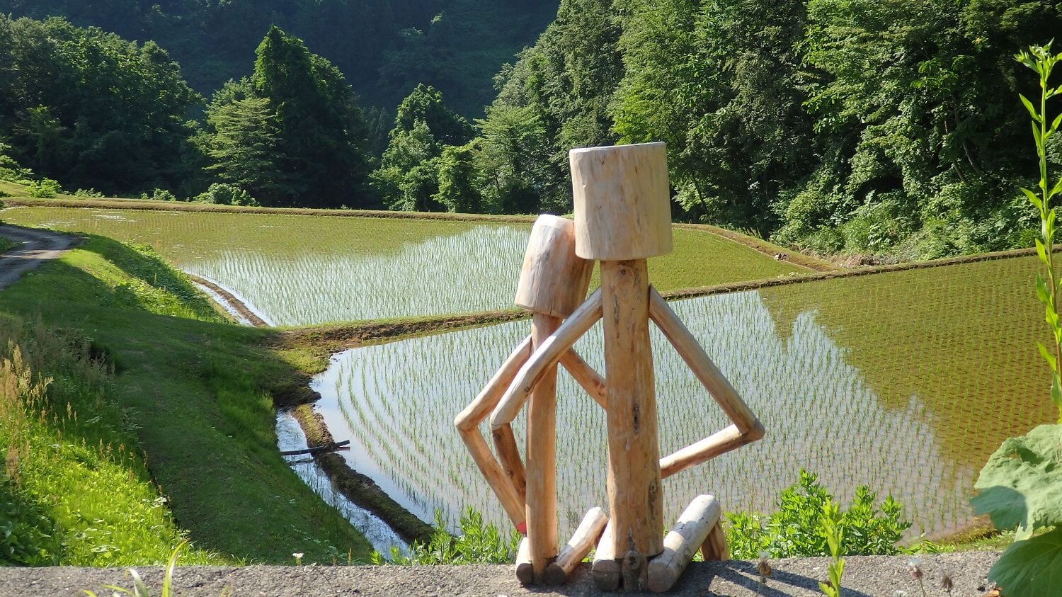 電動自転車でサイクリング「里山の原風景コース」