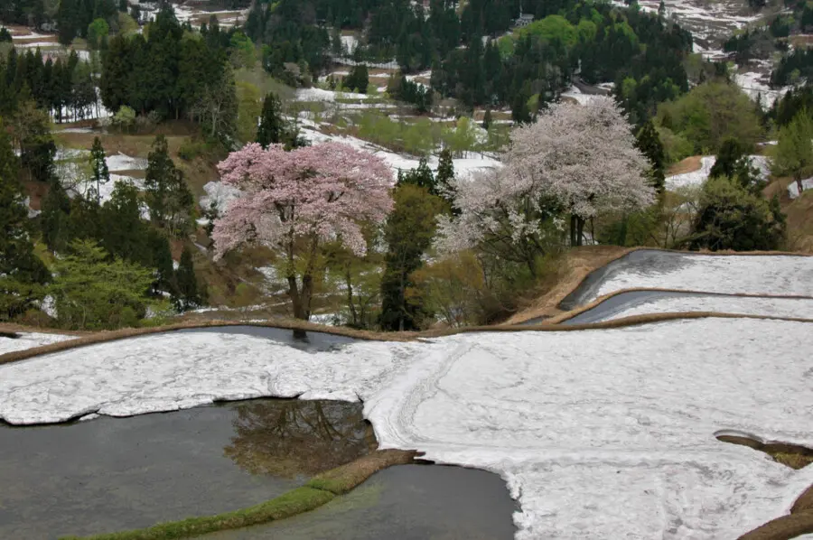 春でも楽しめる 絶景 残雪スポット 十日町市観光協会 春でも楽しめる 絶景 残雪スポット 十日町市観光協会