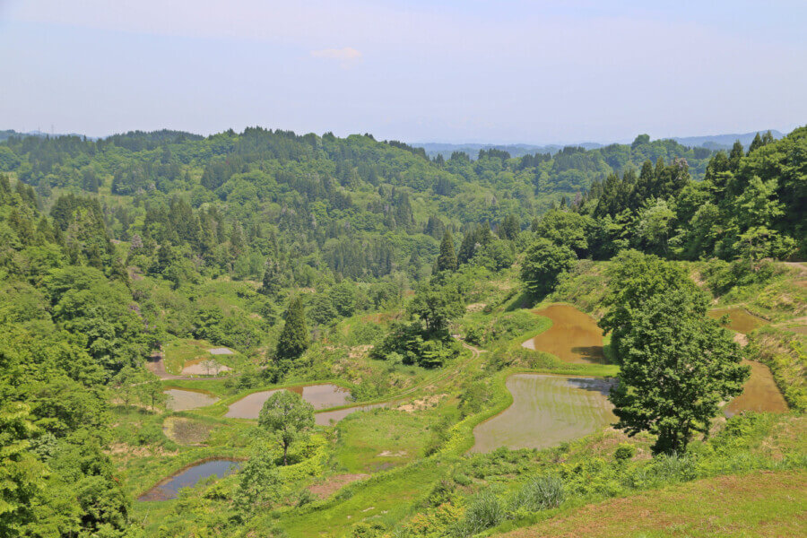 日本の原風景・棚田