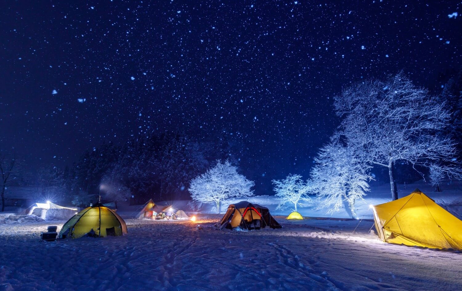 雪原学舎」1/9オープン！冬キャンプが楽しめる旧小学校 | 十日町市観光協会