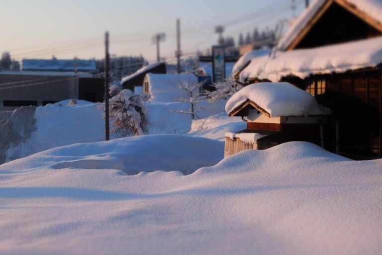 �_�ፑ�̕�炵�Ɗw�т�e�q�ő̌��I�^ �~�́w�ᗢ���w�x�̌��c�A�[���J�Â���܂��y�V�����\�����s�z