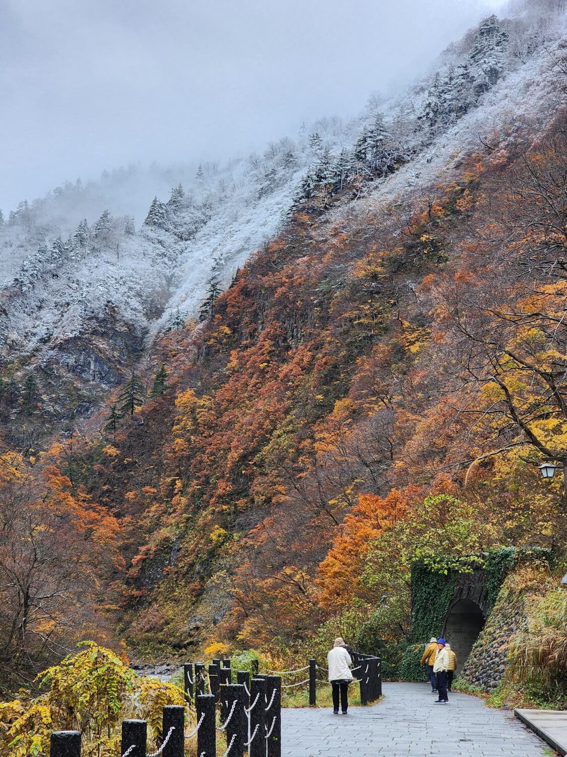 清津峡に初雪が降りました(2024年11月18~19日)【新潟県十日町市