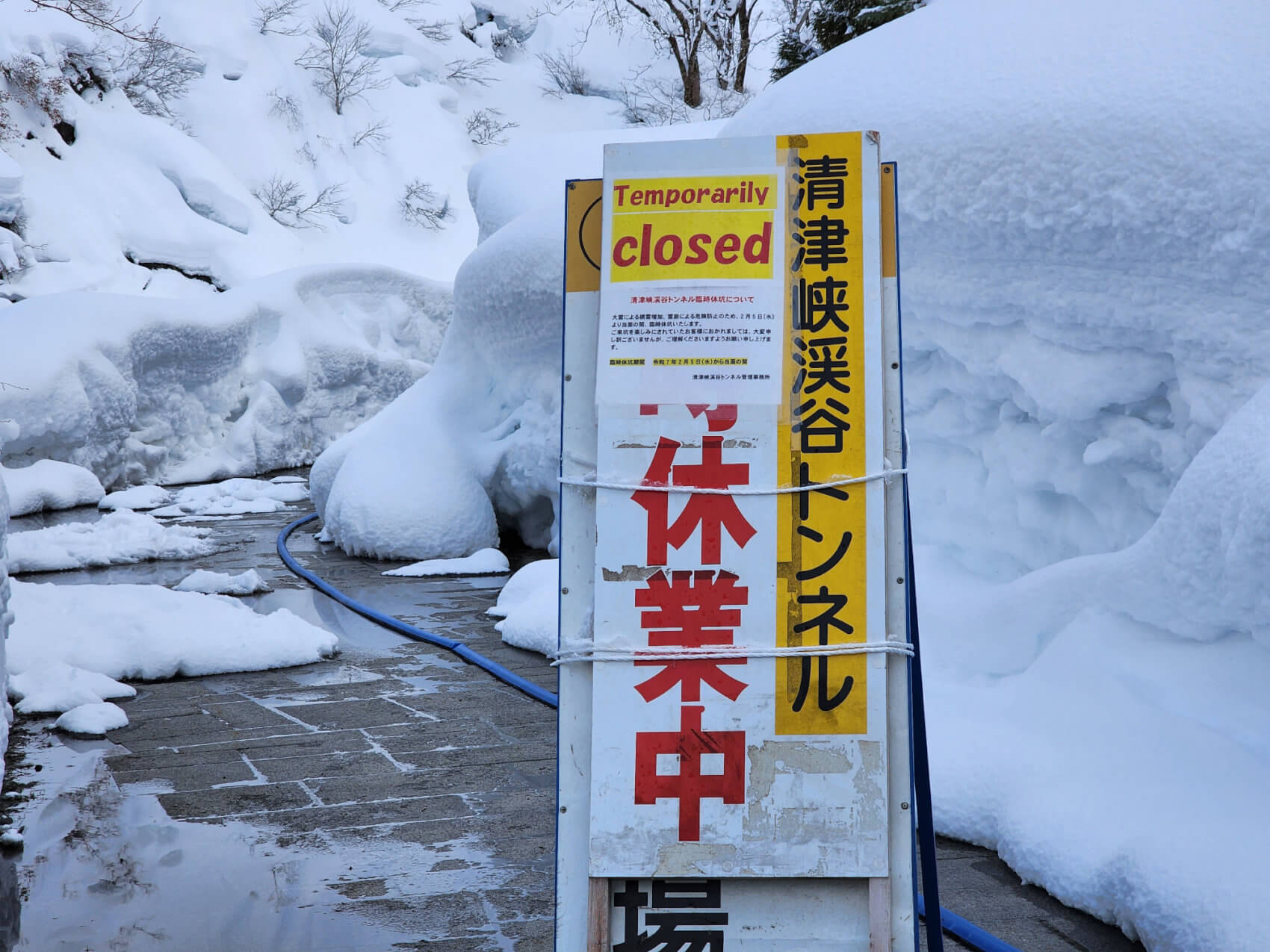 kiyotsukyo_close2025-3.jpg