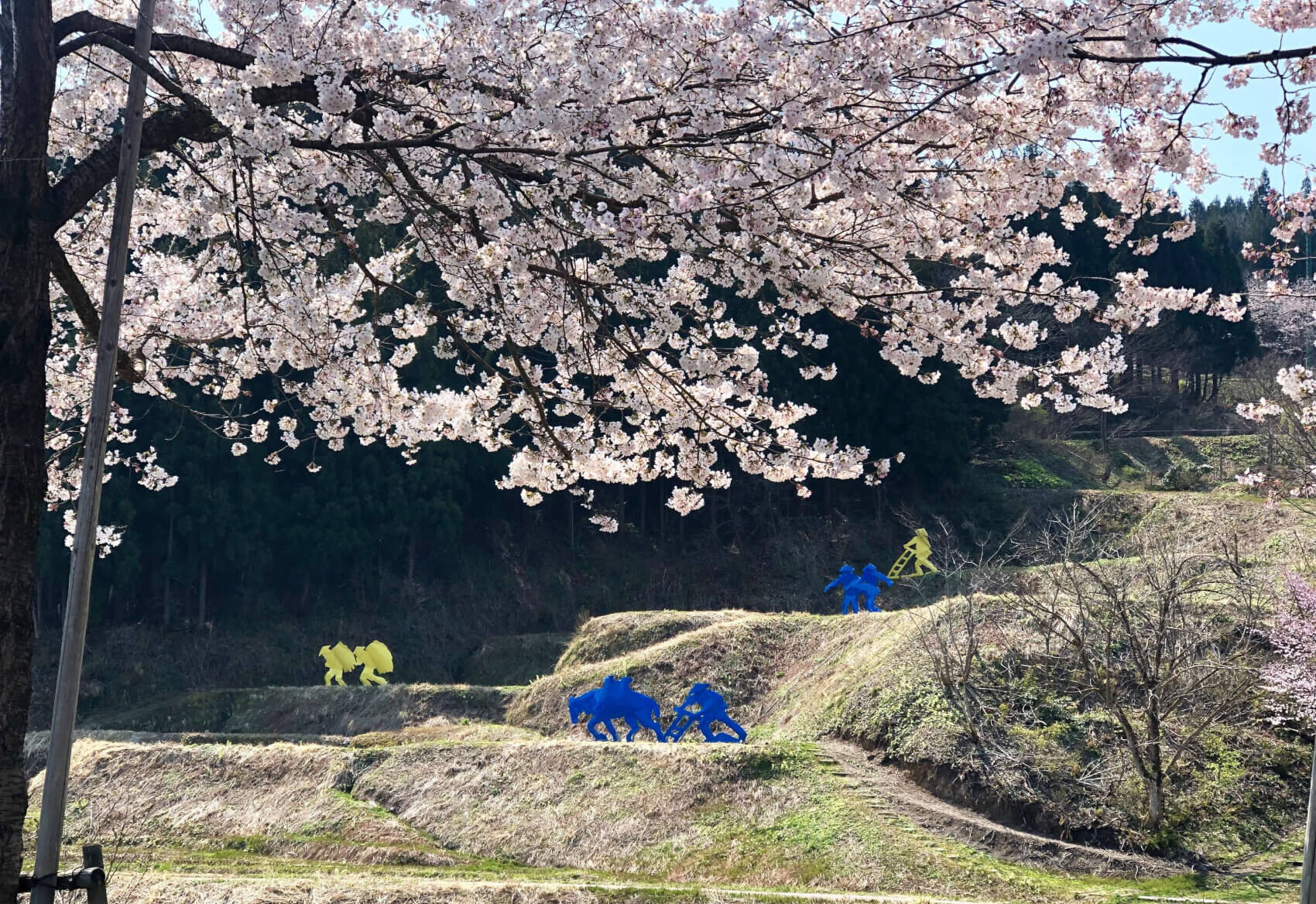 sakura_art_4_nobutai-