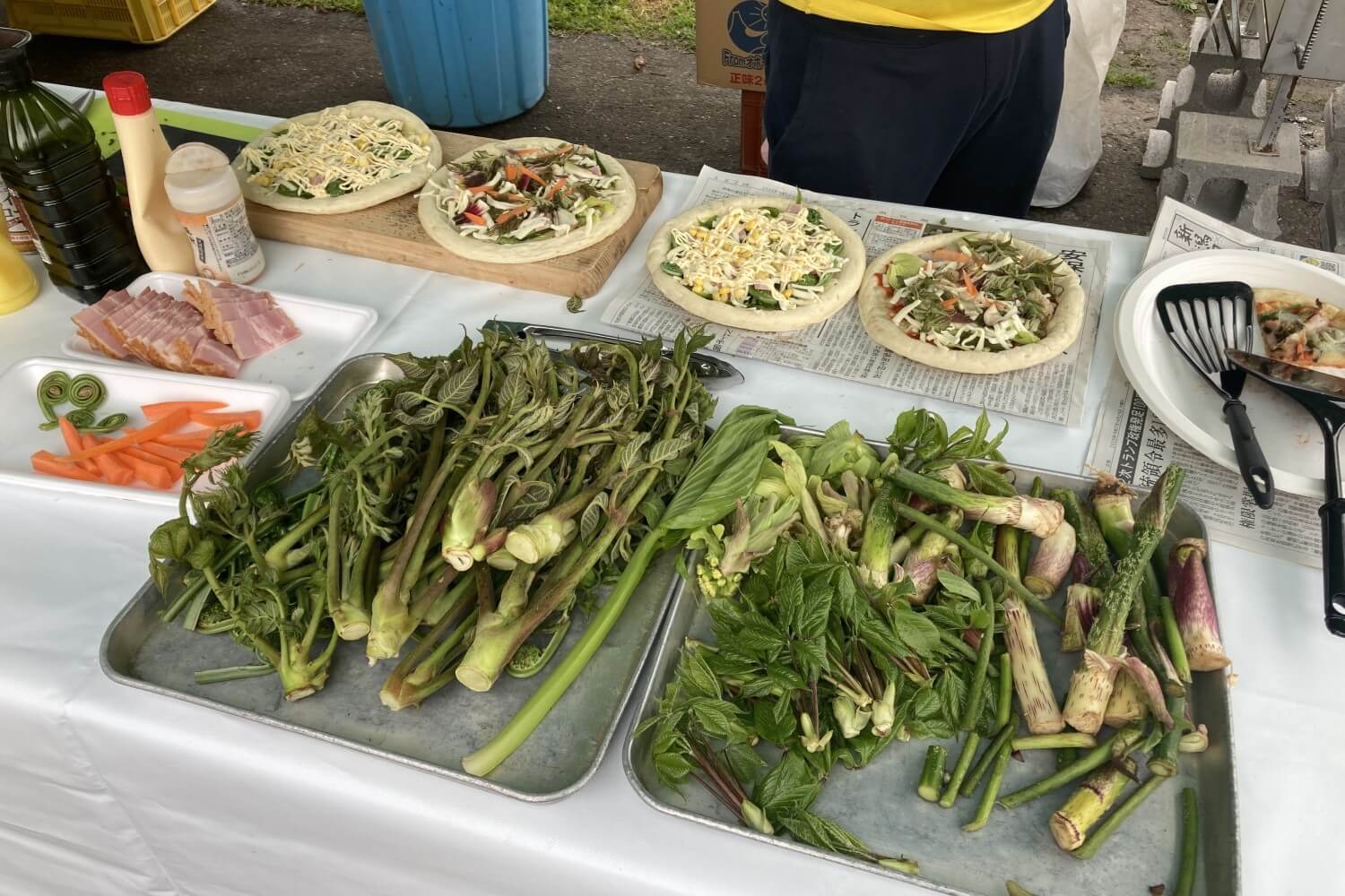 ピザやパスタも！新鮮な山菜を味わい尽くす「春を楽しむ会」が開催され