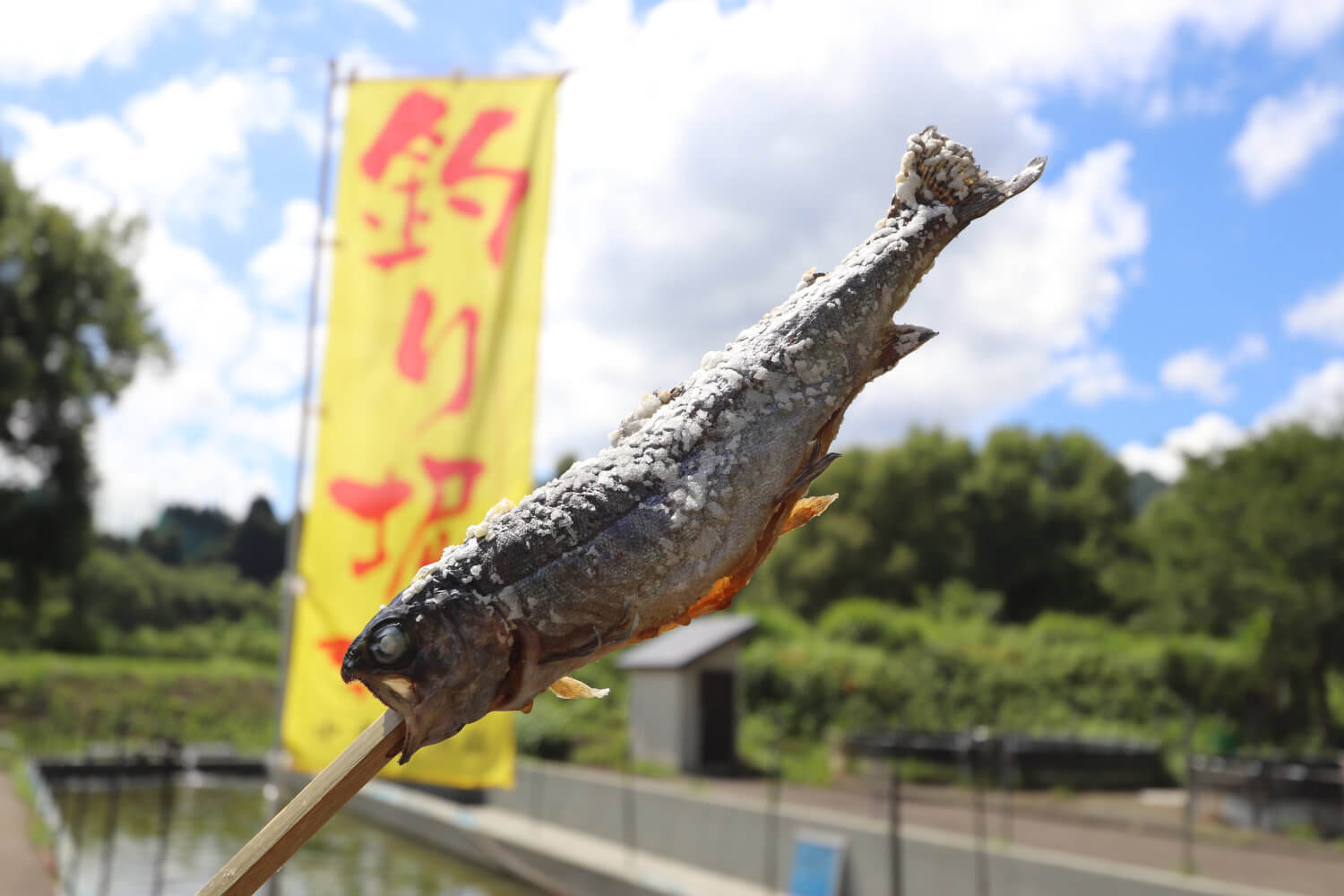 新潟で川魚釣りを楽しもう！釣り堀体験と清津川おすすめガイド【新潟県