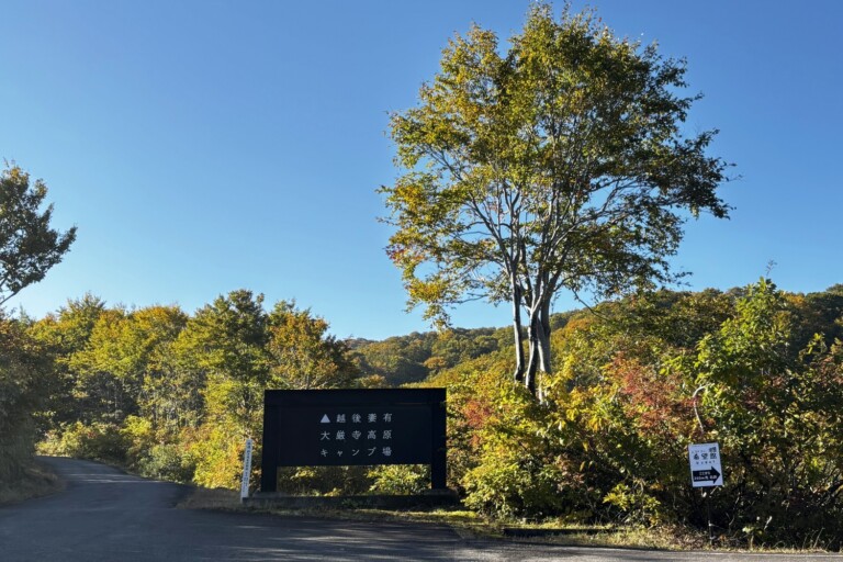 H[܂钆AgtEIc̐󋵁yV\sz