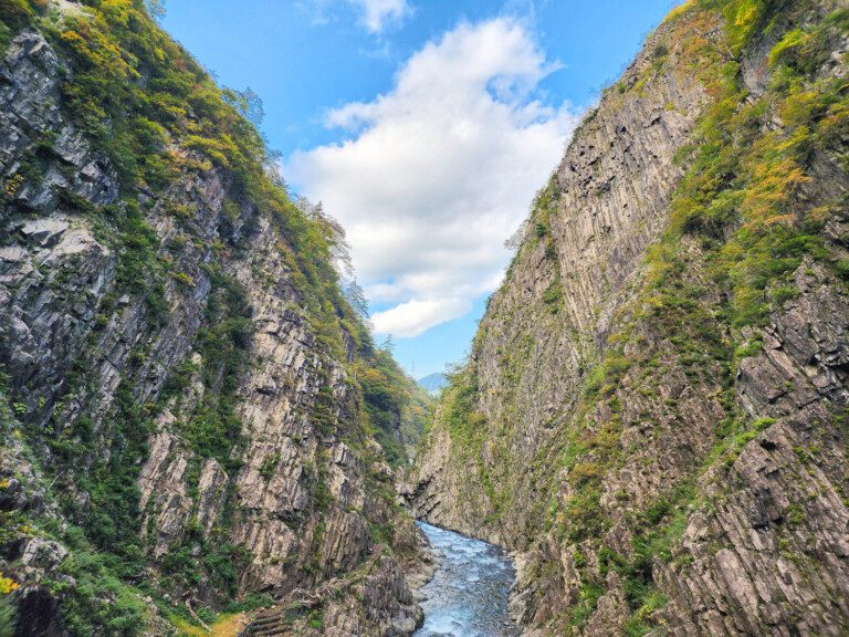 Ë̍gtił܂I2025NHV[Y̗lqyV\sz